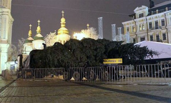 Новогодняя елка Киев 2015